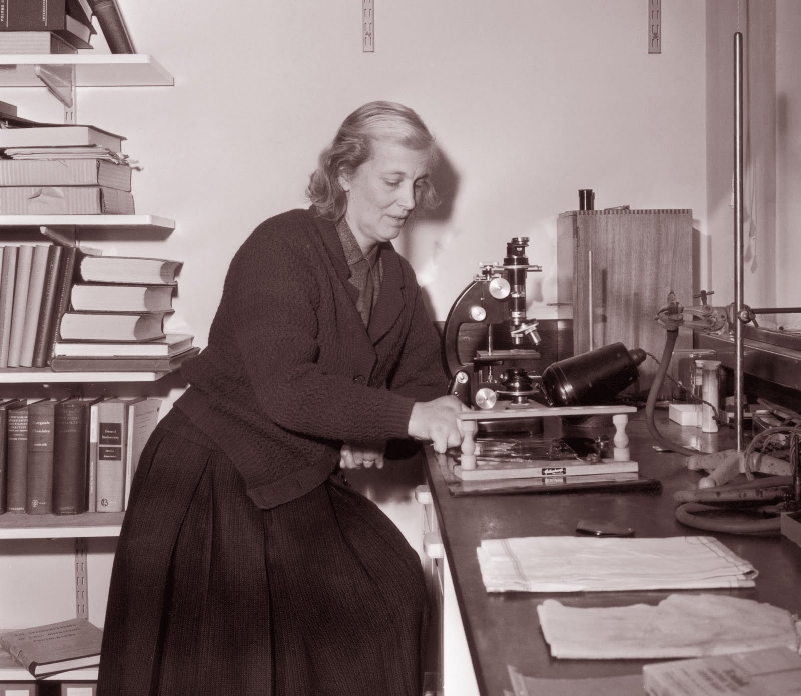 Dorothy Hodgkin And The Most Inspirational British Women Scientists ...